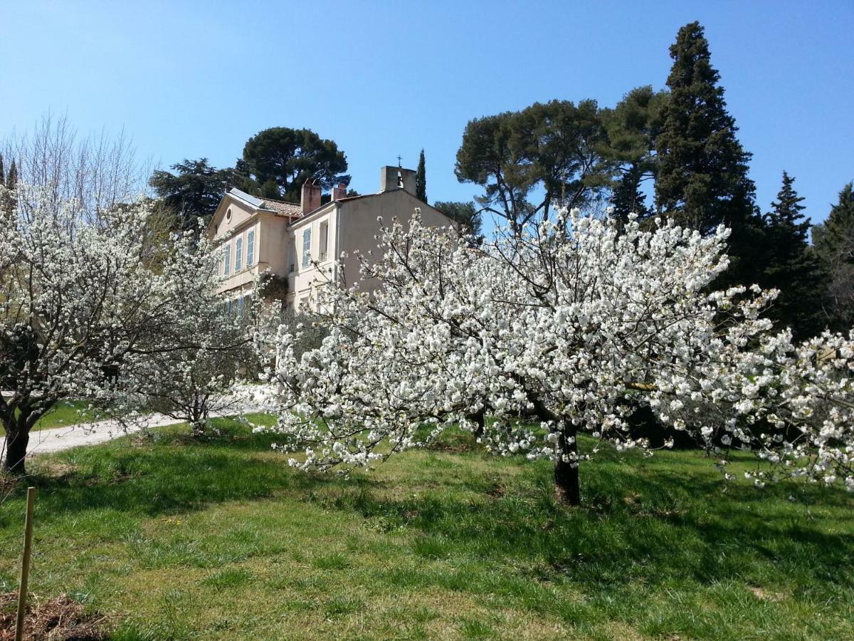 Bed and Breakfast La Royante Aubagne Zewnętrze zdjęcie