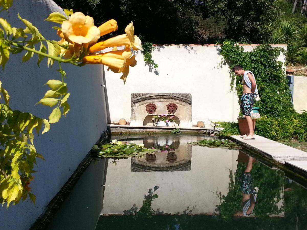 Bed and Breakfast La Royante Aubagne Zewnętrze zdjęcie
